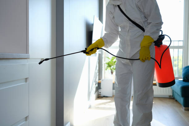 Best Mold Damage Restoration  in Mcnary, AZ