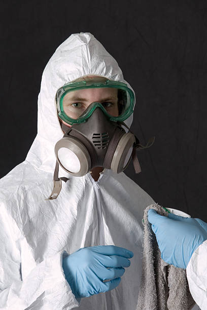 Best Water Damage & Mold Remediation  in Mcnary, AZ